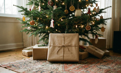 VŠE library operations at the end of 2025